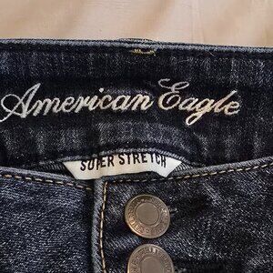 American eagle artist